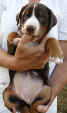 zahrada_snu_c_006.jpg (84968 bytes)